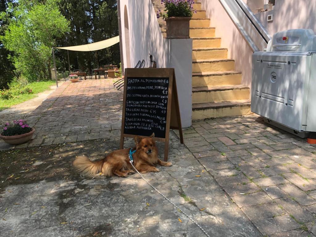 Bb Gli Aristogatti Bed & Breakfast Ghizzano Екстериор снимка