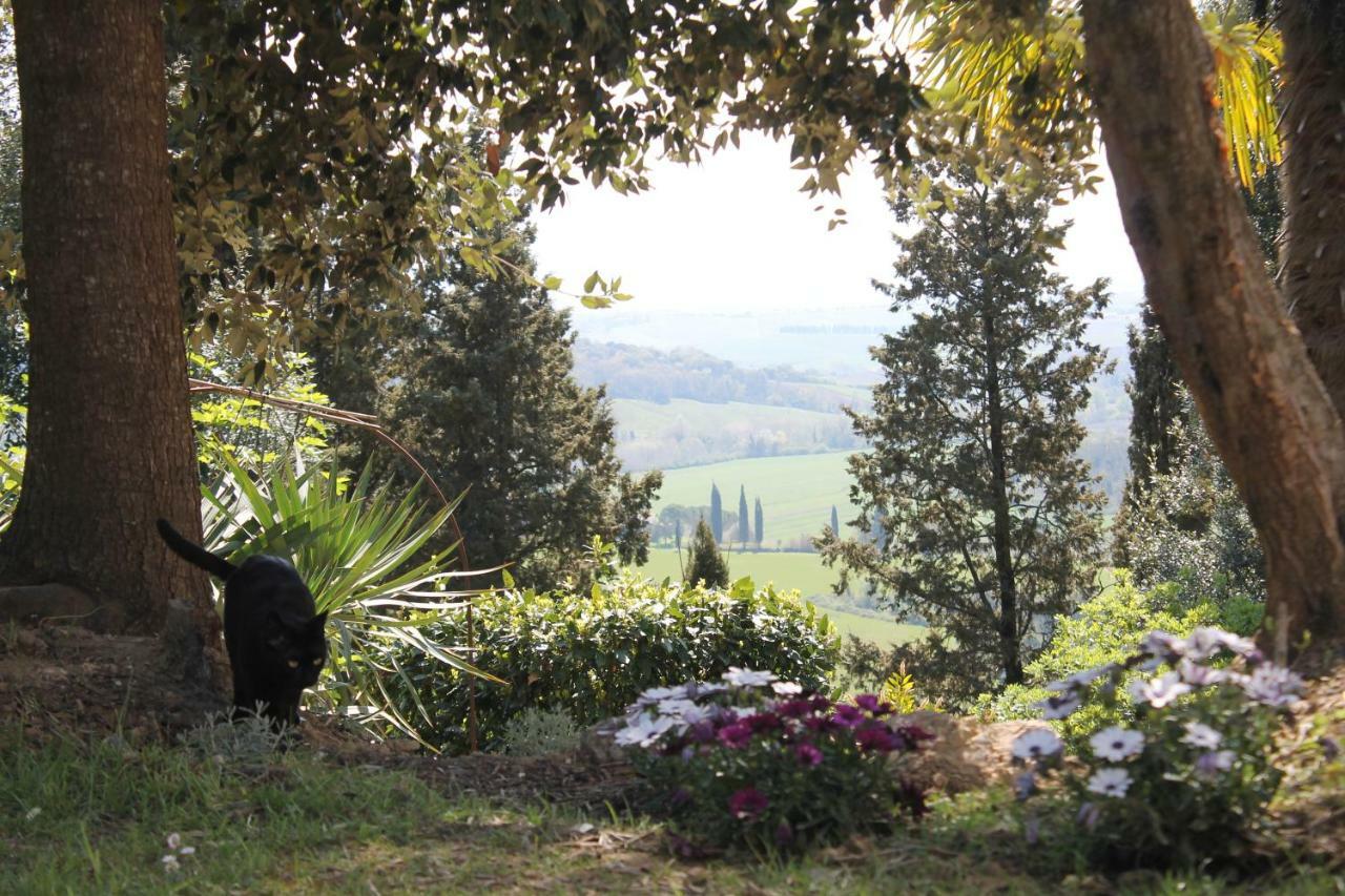 Bb Gli Aristogatti Bed & Breakfast Ghizzano Екстериор снимка